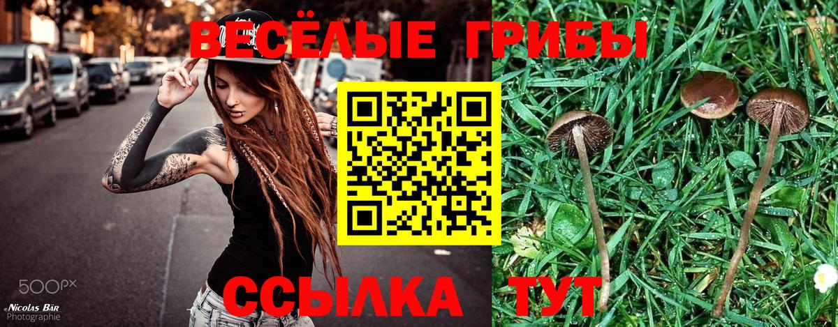 Галлюциногенные грибы мухоморы  Вход с VPN  Галлюциногенные грибы мухоморы  Новокубанск 